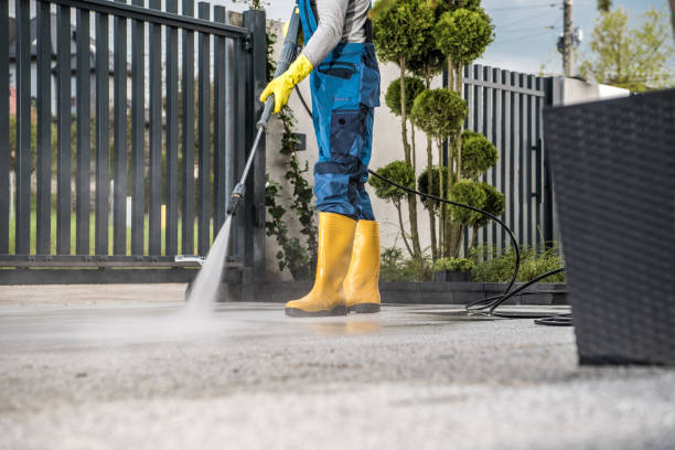 Best Driveway Pressure Washing  in USA